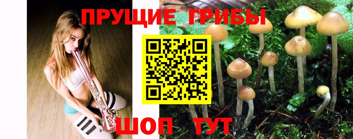 Находка  Галлюциногенные грибы Magic Shrooms  Вход с VPN 